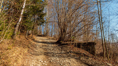 Niebiesko-zielony szlak na Śnieżnicę na wysokości ok. 730 m n.p.m.