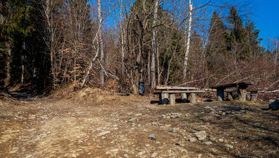 Niebiesko-zielony szlak na Śnieżnicę na wysokości ok. 770 m n.p.m.