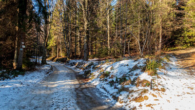 Rozejście szlaków pod Śnieżnicą