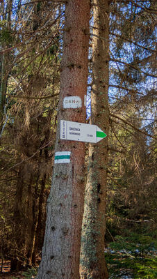 Rozejście szlaków pod Śnieżnicą