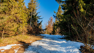 Niebiesko-zielony szlak pod Śnieżnicą