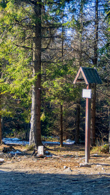 Tabliczka szczytowa Śnieżnica 1006 m n.p.m.