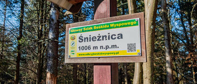 Śnieżnica [Tabliczka szczytowa Śnieżnica 1006 m n.p.m.]