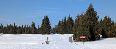 Dziczy Jar ↔ Orle, rozejście szlaków