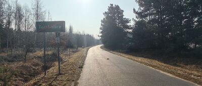 Rozejście szlaków niebieski / zielony ↔ Tarchalice