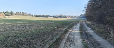 Lubiąż Północny ↔ Domaszków
