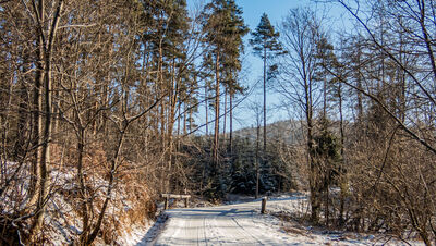 Czarny szlak na Polanę Więciórka