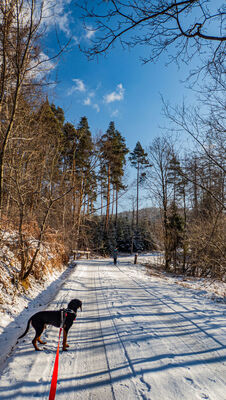 Czarny szlak na Polanę Więciórka