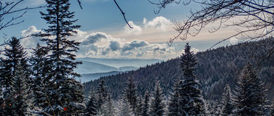 Bogdanówka ↔ Więciórka Polana [Widok na Luboń Wielki (wieża nadawcza) i w tle Turbacz]