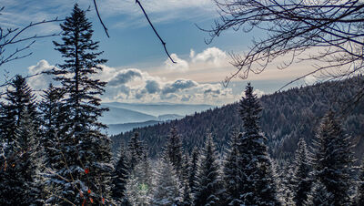 Widok na Luboń Wielki (wieża nadawcza) i w tle Turbacz