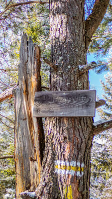 Parszywka 842 m n.p.m. - faktyczny wierzchołek