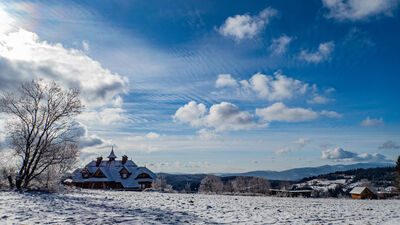 Wrzosowy Dwór z żółtego szlaku