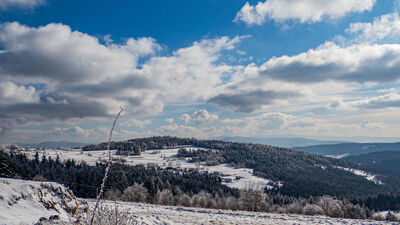 Sołtysia Góra z żółtego szlaku z Łazów (Bogdanówka)