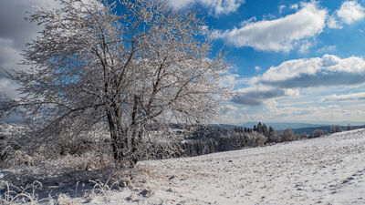 Niebiesko-żółty szlak pod Koskową Górą