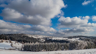 Niebiesko-żółty szlak pod Koskową Górą