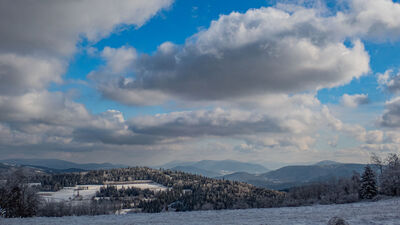 Widok na Śnieżnicę, Lubogoszcz, Ćwilin, Mogielicę i Szczebel z żółtego szlaku pod Koskową Górą