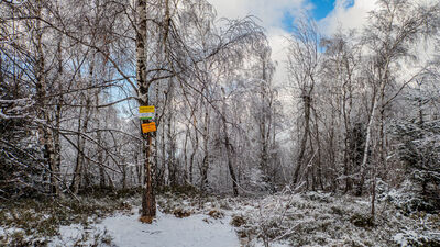 Tabliczka szczytowa Koskowa Góra 867 m n.p.m.