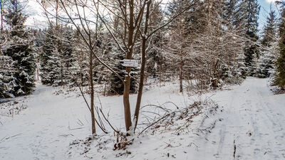 Rozejście szlaków pod Koskową Górą