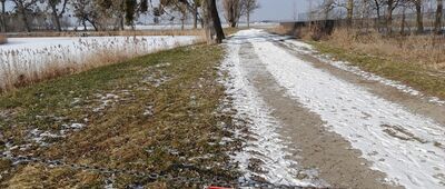 Srebrzyszcze, pałac Łopuskich [Właściciel nie ułatwia]