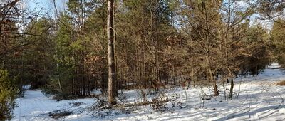 Stara Wieś ↔ Skrzyżowanie szlaków