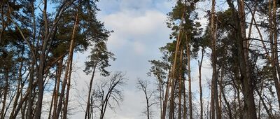 Gościeradów ↔ Skrzyżowanie szlaków