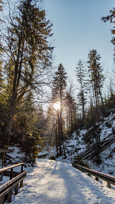 Odejście niebieskiego szlaku w kierunku Baraniej Góry