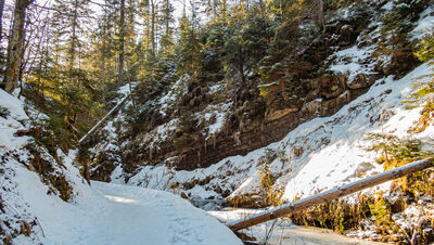 Niebieski szlak wzdłuż kaskad Rodła na Białej Wisełce