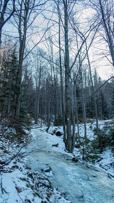 Całkowicie oblodzony niebieski szlak wzdłuż kaskad Rodła na Białej Wisełce