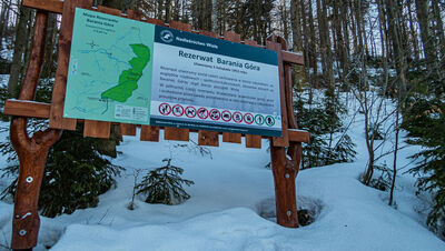 Tablica informacyjna Rezerwatu Barania Góra