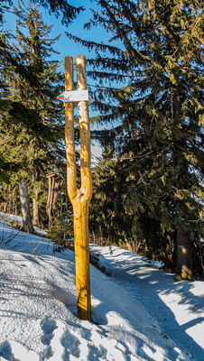 Rozejście szlaków pod Baranią Górą