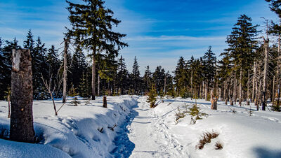Czerwono-niebiesko-zielony szlak w kierunku Schroniska PTTK Przysłop