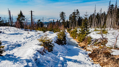 Czerwono-niebiesko-zielony szlak w kierunku Schroniska PTTK Przysłop