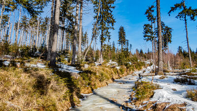 Kompletnie oblodzony czerwono-niebiesko-zielony szlak w kierunku Baraniej Góry