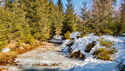 Kompletnie oblodzony czerwono-niebiesko-zielony szlak w kierunku Baraniej Góry