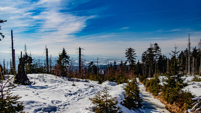 Czerwono-niebiesko-zielony szlak pod Baranią Górą