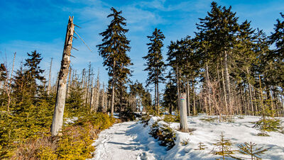Czerwono-niebiesko-zielony szlak na Baranią Górę