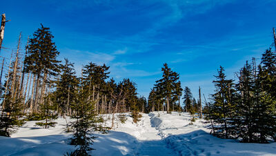 Czerwono-niebiesko-zielony szlak na Baranią Górę