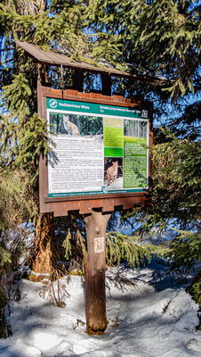 Tablica pod Wierchem Równiańskim