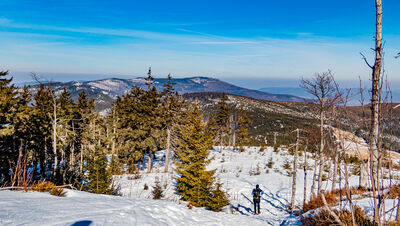 Skrzyczne spod Baraniej Góry