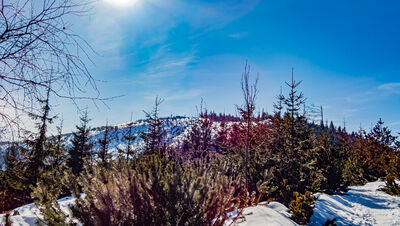 Barania Góra widziana z czerwono-zielonego szlaku