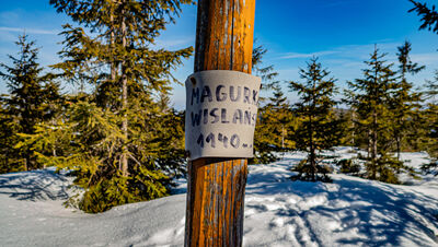 Faktyczny szczyt Magurki Wiślańskiej 1140 m n.p.m.