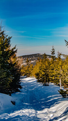 Zielony Kopiec z Magurki Wiślańskiej
