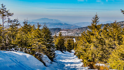 Widok w kierunku Czantorii z zielonego szlaku pod Magurką Wiślańską