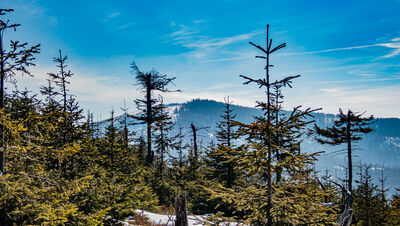 Barania Góra z zielonego szlaku pod Magurką Wiślańską