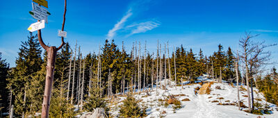 Gawlas [Gawlasi 1076 m n.p.m. Tabliczka szczytowa z widokiem na Zielony Kopiec]