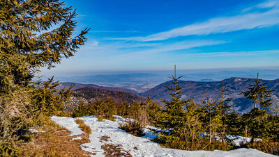Widok w kierunku Jeziora Żywieckiego z Zielonego Kopca