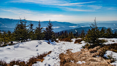 Ścieżka z Zielonego Kopca