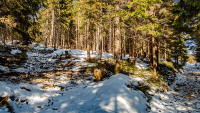 Ścieżka na Zielony Kopiec i żółty szlak na Gawlasi