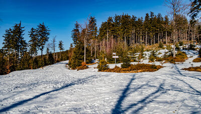 Skrzyżowanie dojazdów pożarowych i żółtego szlaku