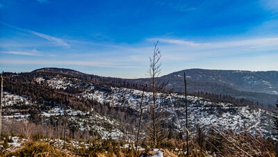Magurka Wiślańska i Barania Góra z żółtego szlaku nad Cieńkowem